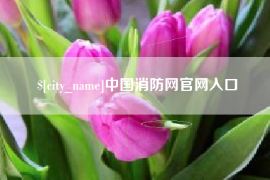 佳木斯中国消防网官网入口