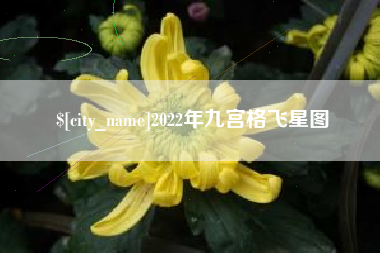 佳木斯2022年九宫格飞星图