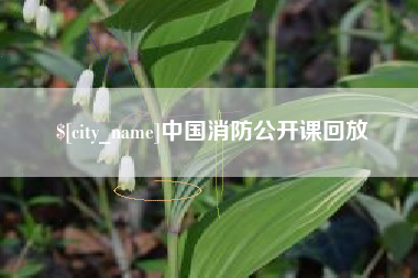 佳木斯中国消防公开课回放