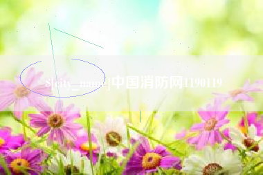 佳木斯中国消防网1190119