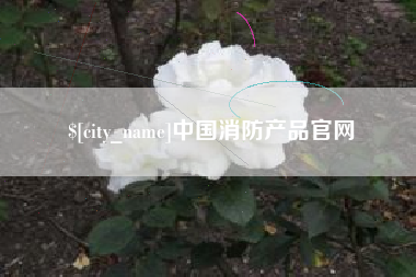 佳木斯中国消防产品官网