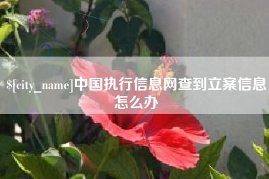 佳木斯中国执行信息网查到立案信息怎么办