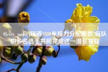 佳木斯短道5000米接力分配圈数-每队由多名选手共同完成这一漫长赛程