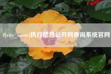 佳木斯执行信息公开网查询系统官网