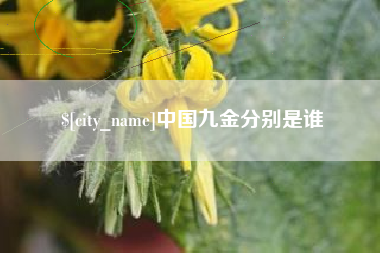 佳木斯中国九金分别是谁