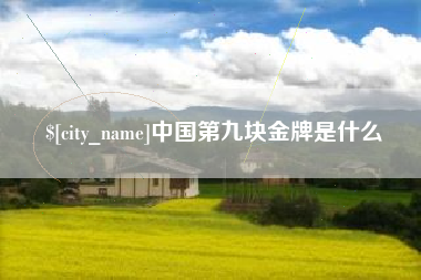 佳木斯中国第九块金牌是什么