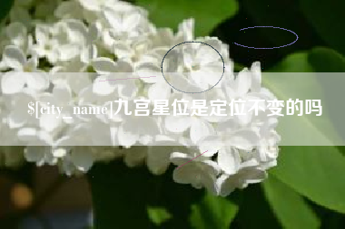 佳木斯九宫星位是定位不变的吗