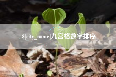 佳木斯九宫格数字排序
