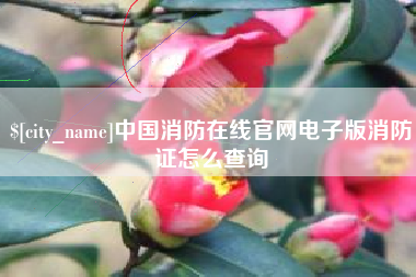 佳木斯中国消防在线官网电子版消防证怎么查询