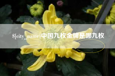 佳木斯中国九枚金牌是哪九枚