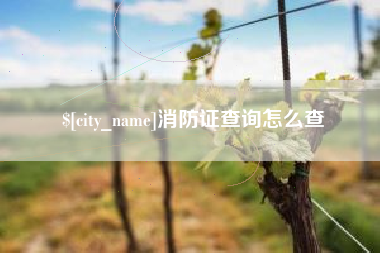 佳木斯消防证查询怎么查