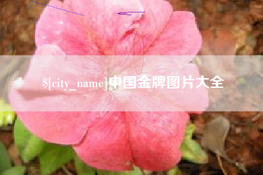 佳木斯中国金牌图片大全