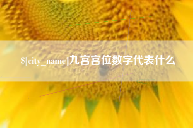 佳木斯九宫宫位数字代表什么