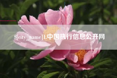 佳木斯1.中国执行信息公开网