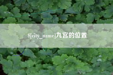 佳木斯九宫的位置