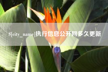 佳木斯执行信息公开网多久更新