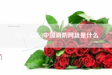 佳木斯中国消防网址是什么