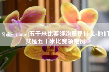 佳木斯五千米比赛领跑员是什么-他们就是五千米比赛领跑员