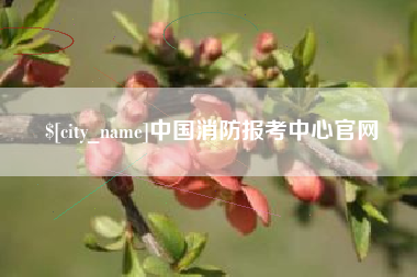 佳木斯中国消防报考中心官网