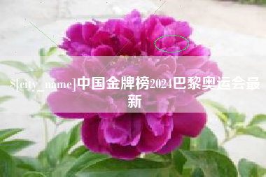 佳木斯中国金牌榜2024巴黎奥运会最新