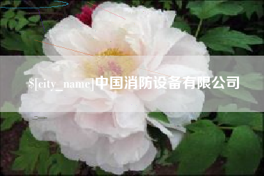 佳木斯中国消防设备有限公司