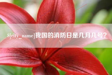 佳木斯我国的消防日是几月几号？