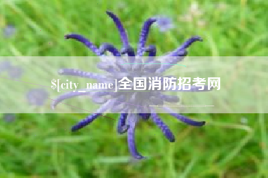 佳木斯全国消防招考网
