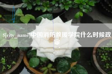 佳木斯中国消防救援学院什么时候政审