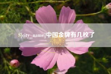 佳木斯中国金牌有几枚了