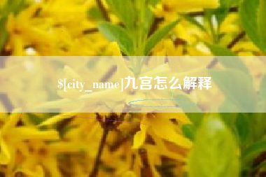 佳木斯九宫怎么解释