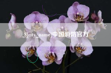 佳木斯中国消防官方
