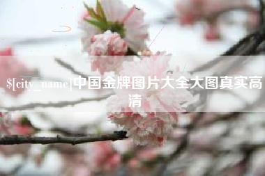 佳木斯中国金牌图片大全大图真实高清