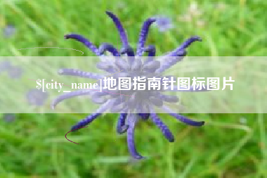 佳木斯地图指南针图标图片