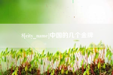佳木斯中国的几个金牌