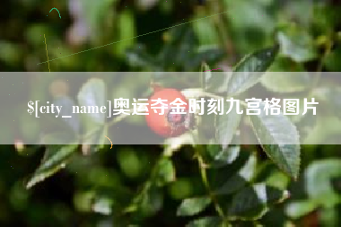 佳木斯奥运夺金时刻九宫格图片