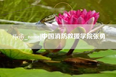 佳木斯中国消防救援学院张勇
