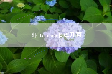 佳木斯2022九宫