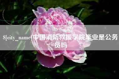 佳木斯中国消防救援学院毕业是公务员吗