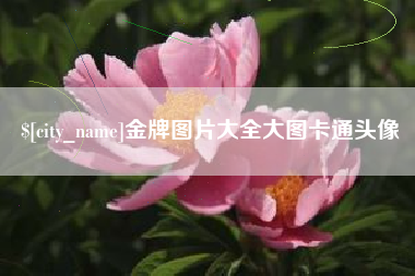 佳木斯金牌图片大全大图卡通头像