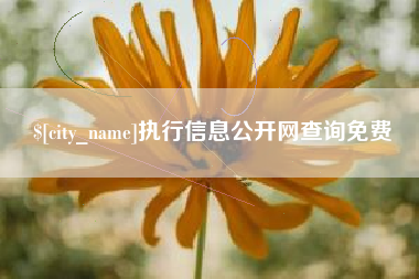 佳木斯执行信息公开网查询免费