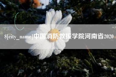 佳木斯中国消防救援学院河南省2020